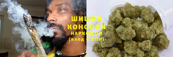 трава Аркадак