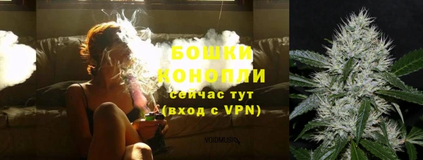 трава Аркадак