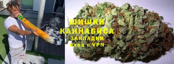трава Аркадак
