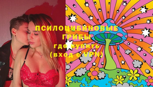 экстази Арсеньев