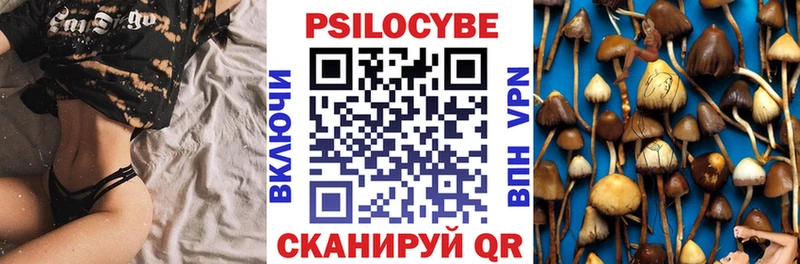 сколько стоит  Сасово  Псилоцибиновые грибы мицелий 